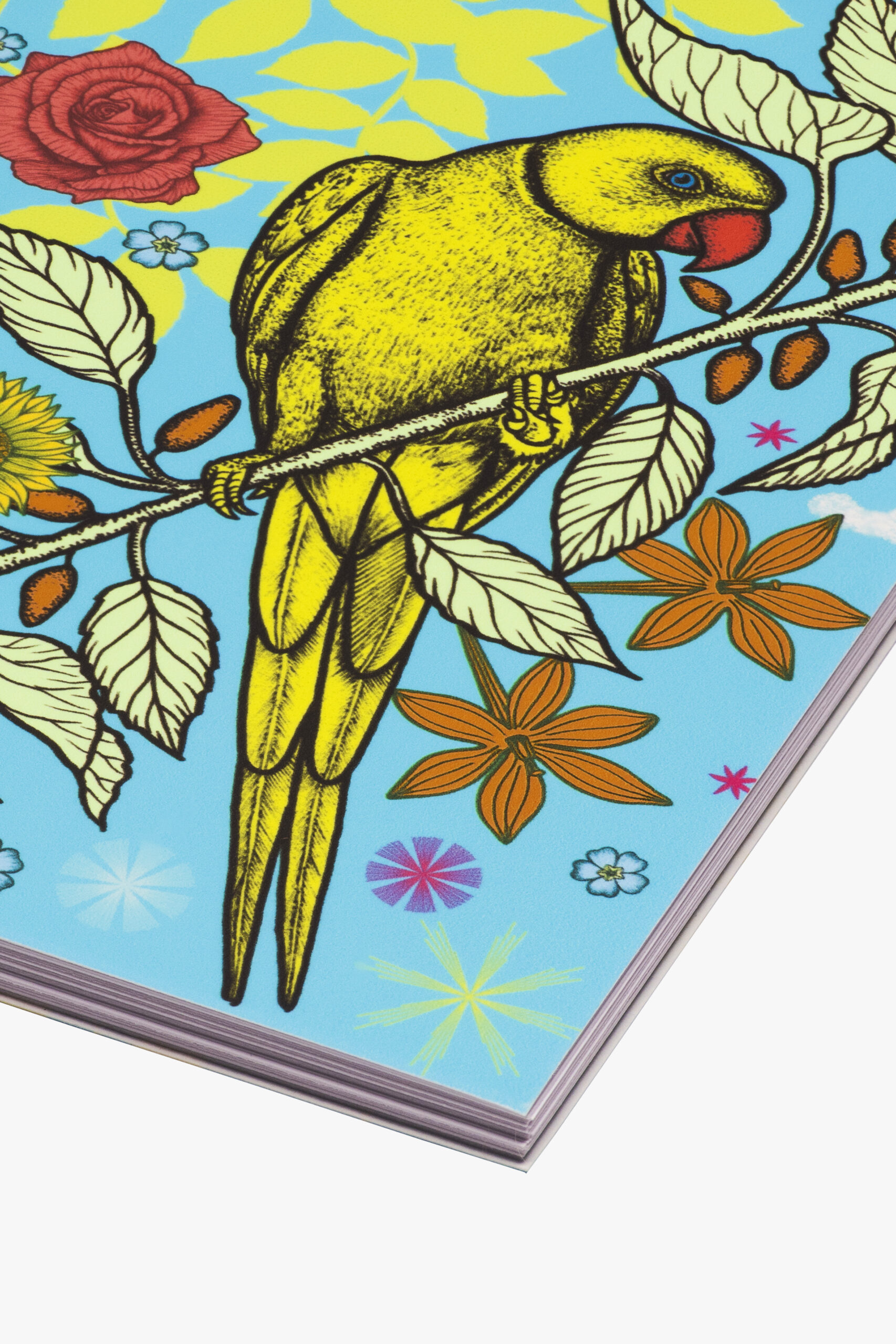 Trace d’instant- Michaël Cailloux – Reine Taëvran- carnet broché -fabrication française