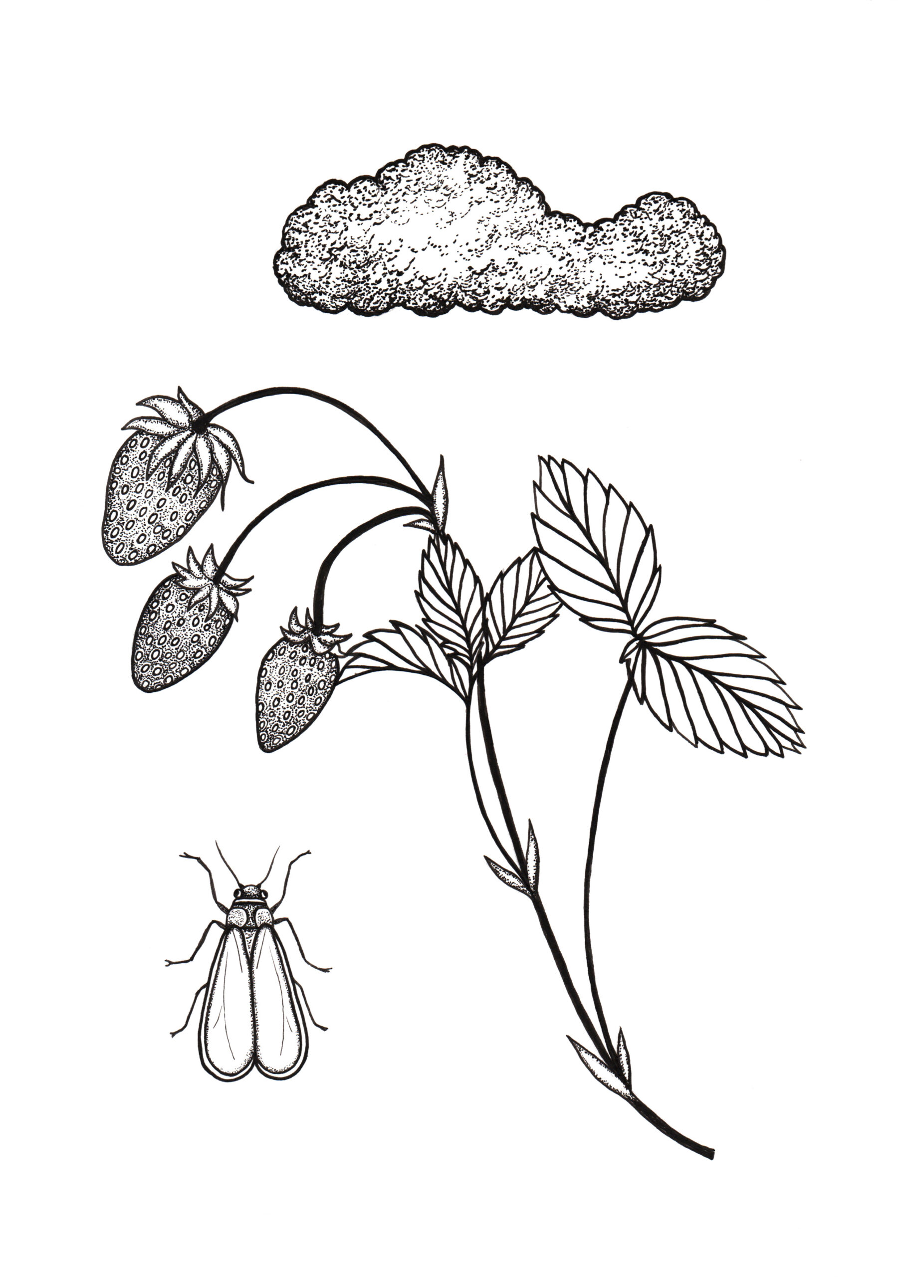 Les animaux aux jardins Dessin original au feutre