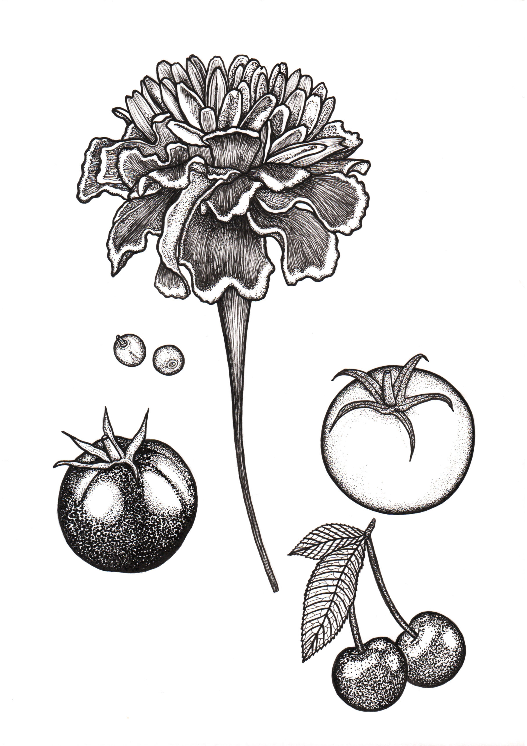 Les animaux aux jardins Dessin original au feutre