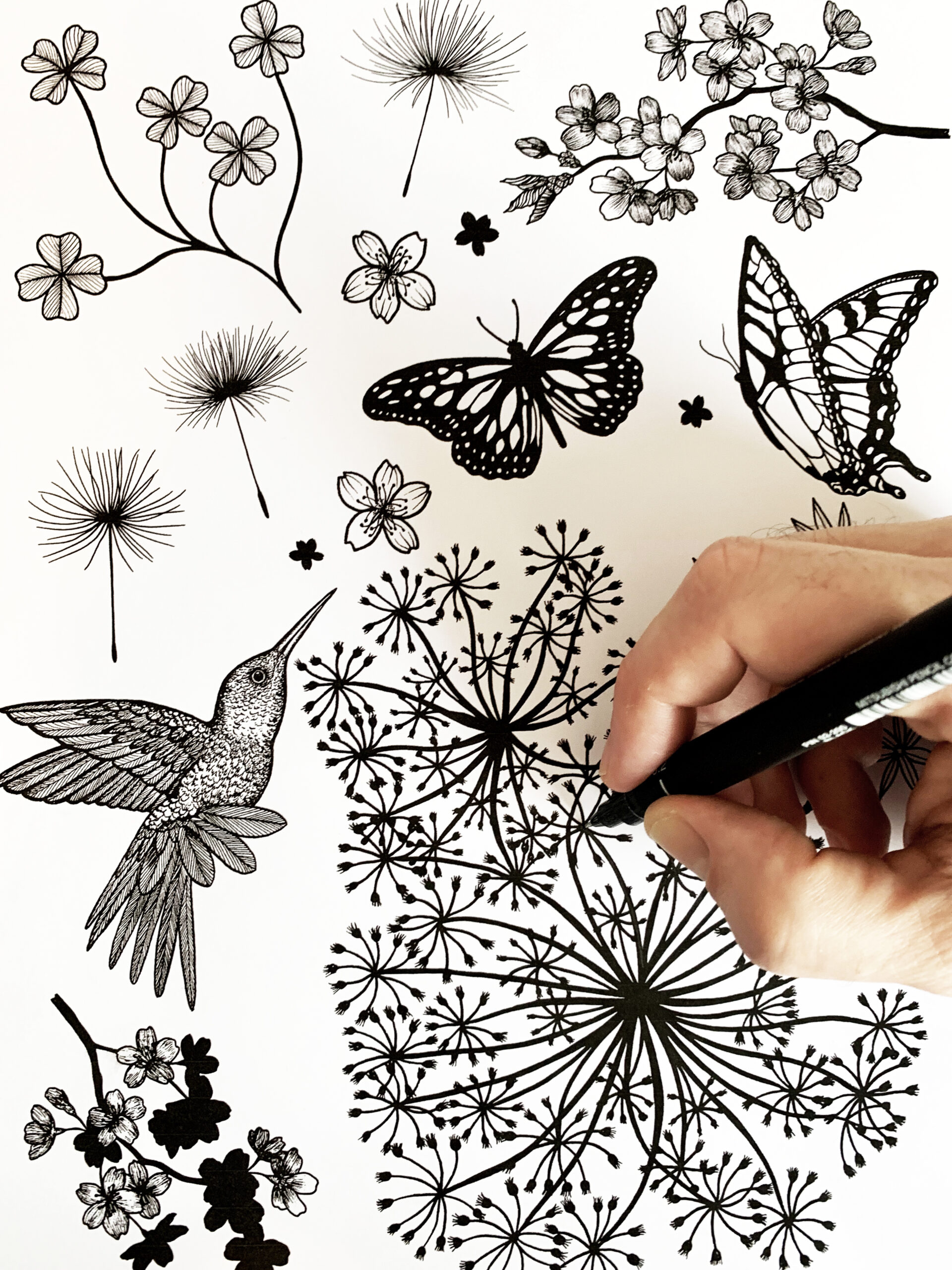 dessin-bernardaud-feerie-michael-cailloux-1