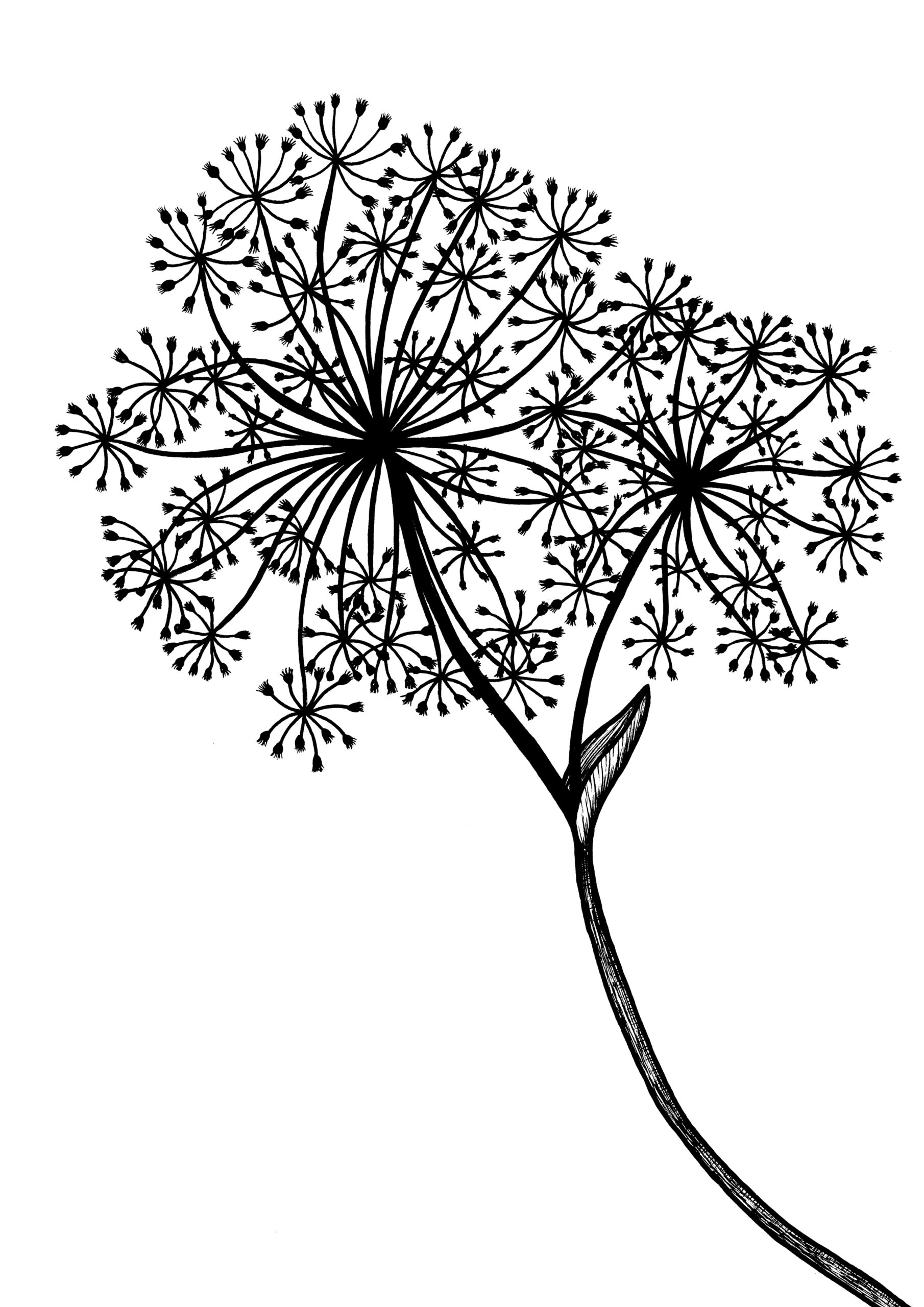 Féérie - Service de table "Féerie" dessiné pour Bernardaud