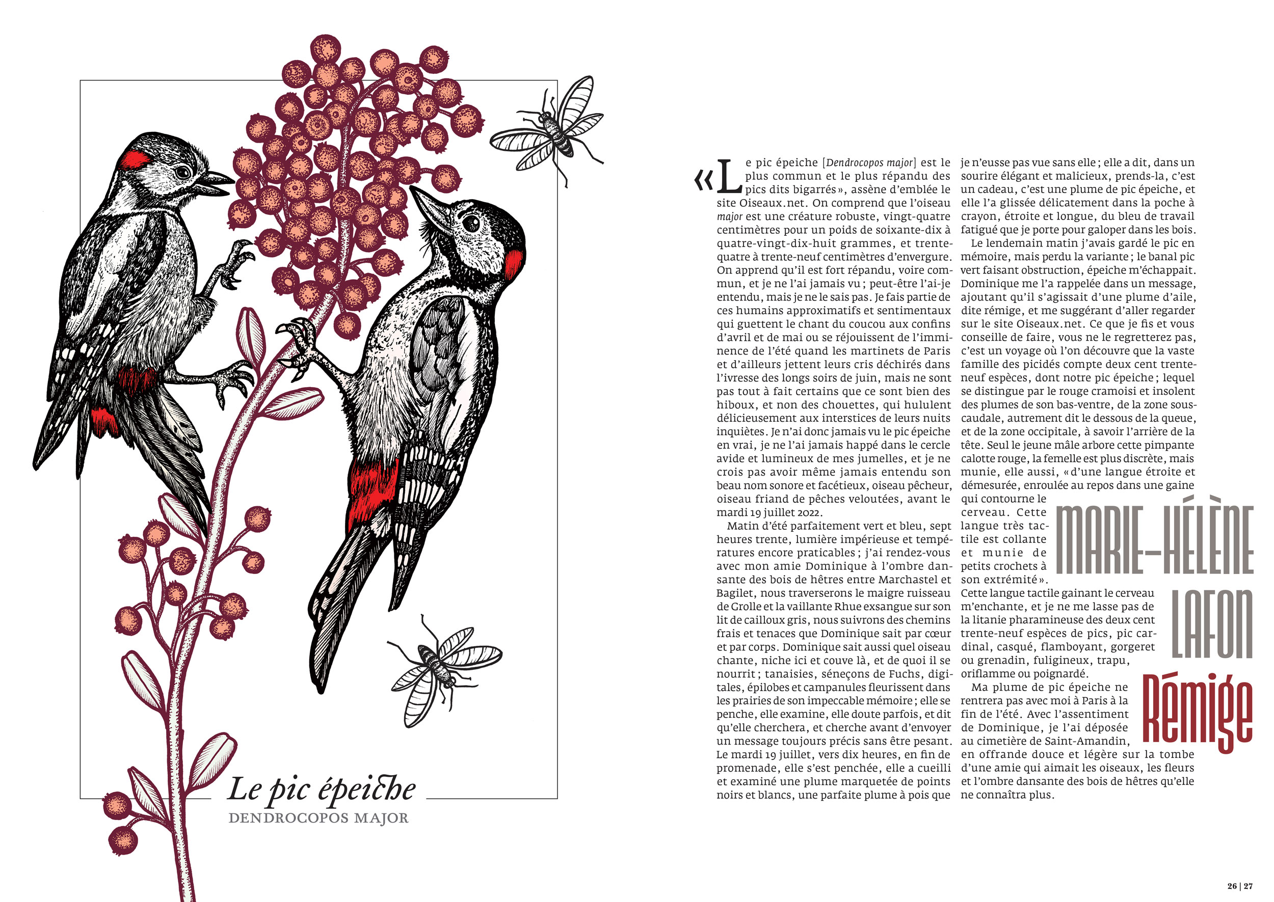 La fête de la librairie indépendante