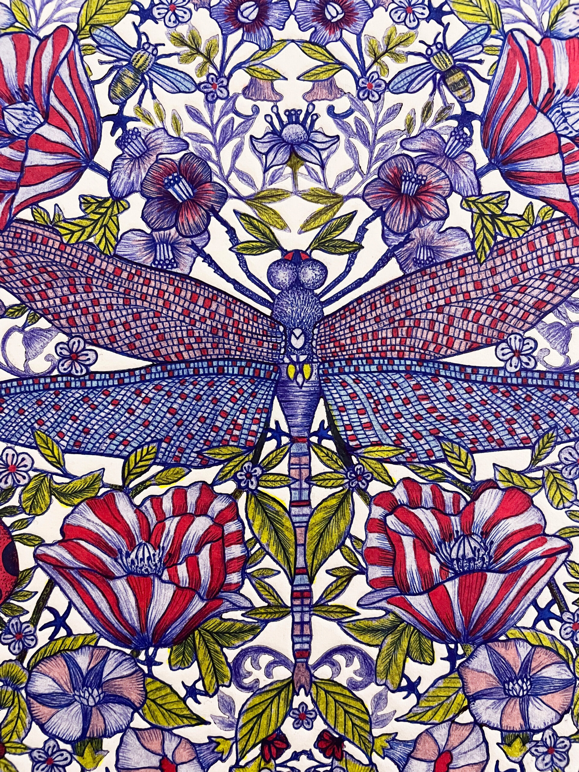 Renaissance demoiselle - Michaël Cailloux - Gravure à l’eau-forte et dessin