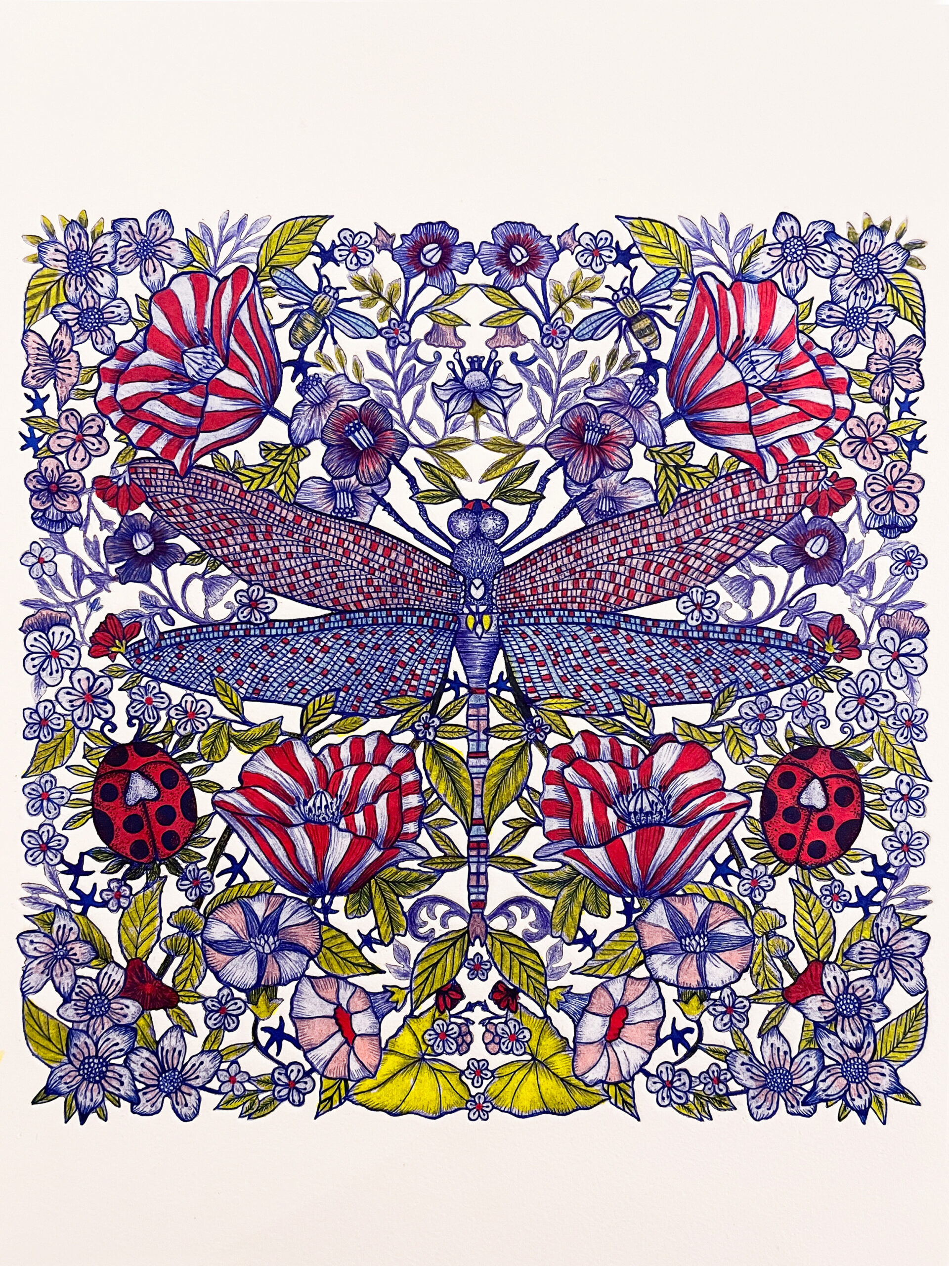 Renaissance demoiselle - Michaël Cailloux - Gravure à l’eau-forte et dessin