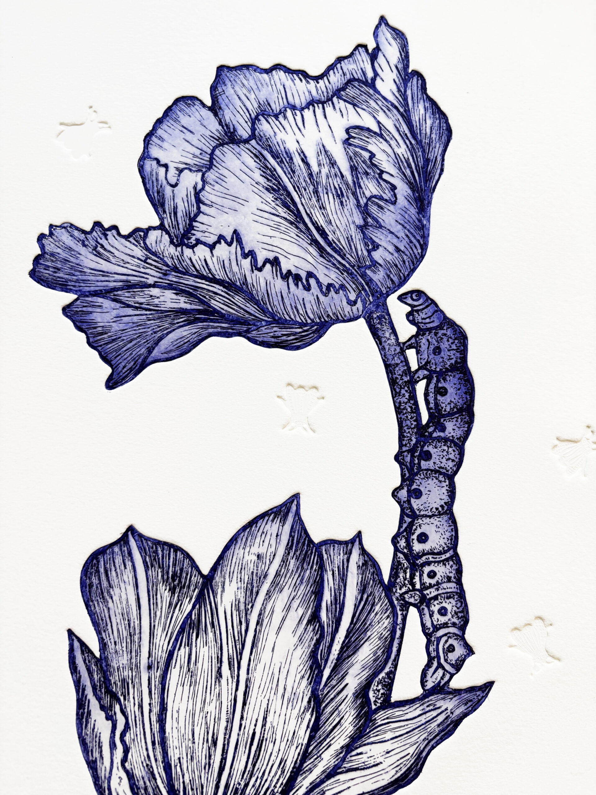 gravure-parfum-des-fleurs-michael-cailloux-art