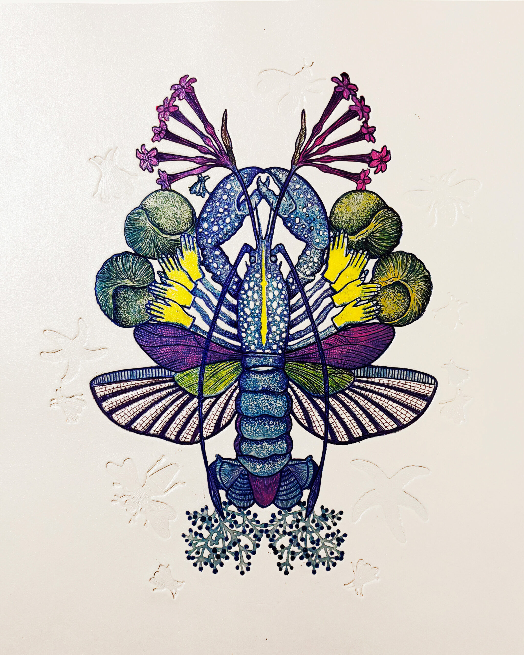 Renaissance : Pince-moi, 2015, Gravure à l’eau-forte et dessin, Michaël Cailloux