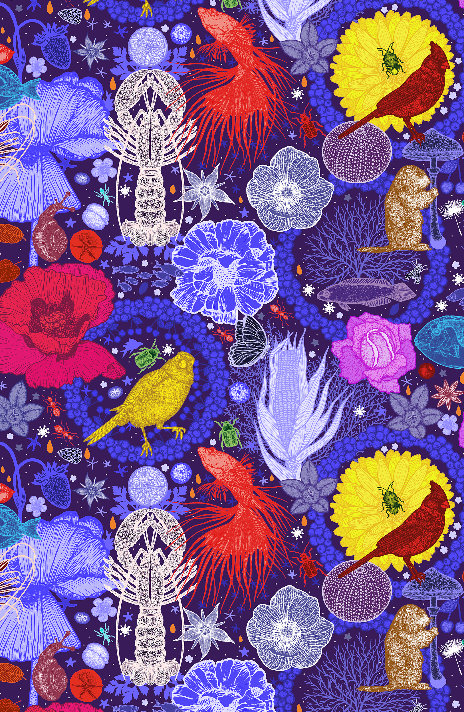 Illusion - Michaël Cailloux – papier peint