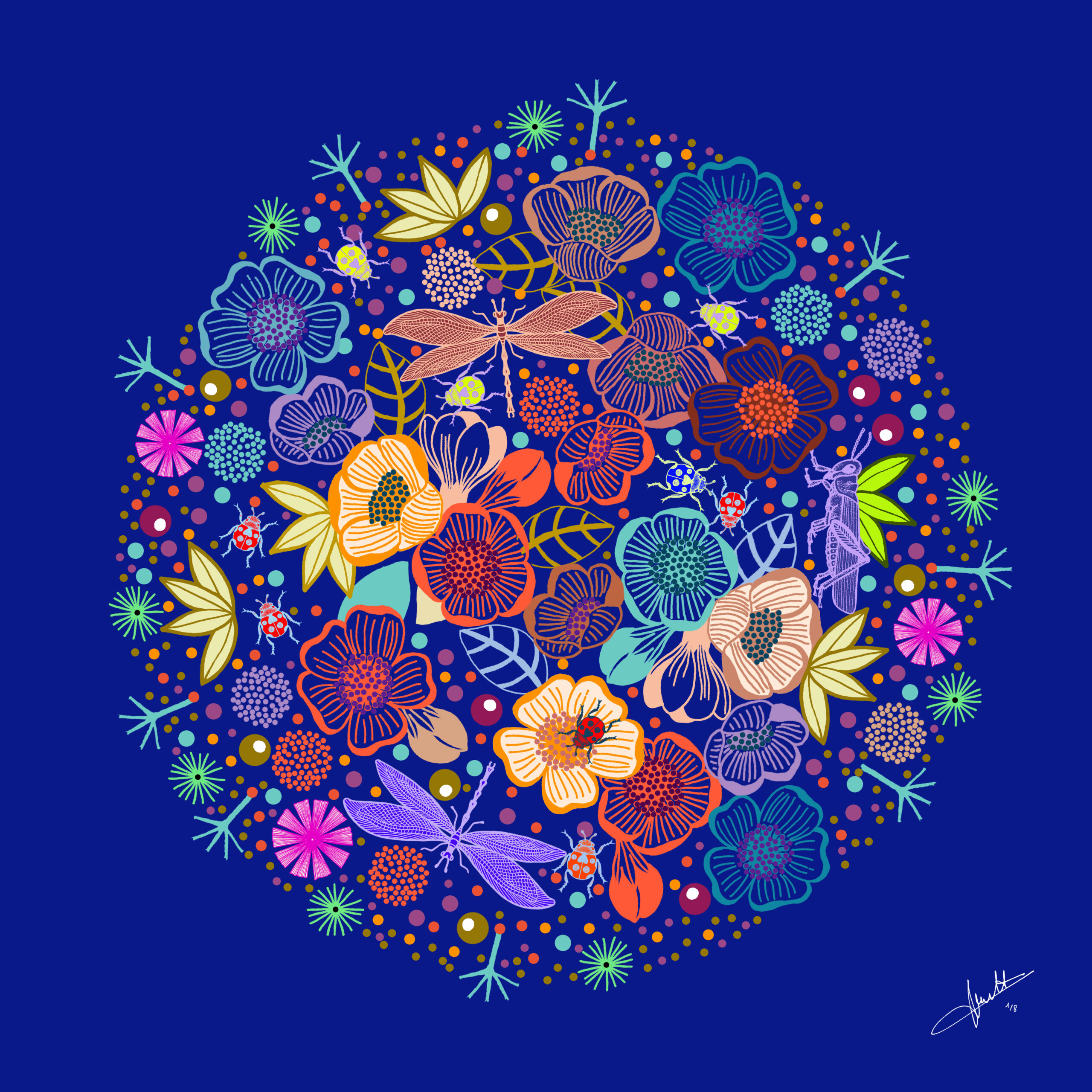 La terre vue du ciel - Michaël Cailloux - tirage d’art numéroté et signé – digigraphie