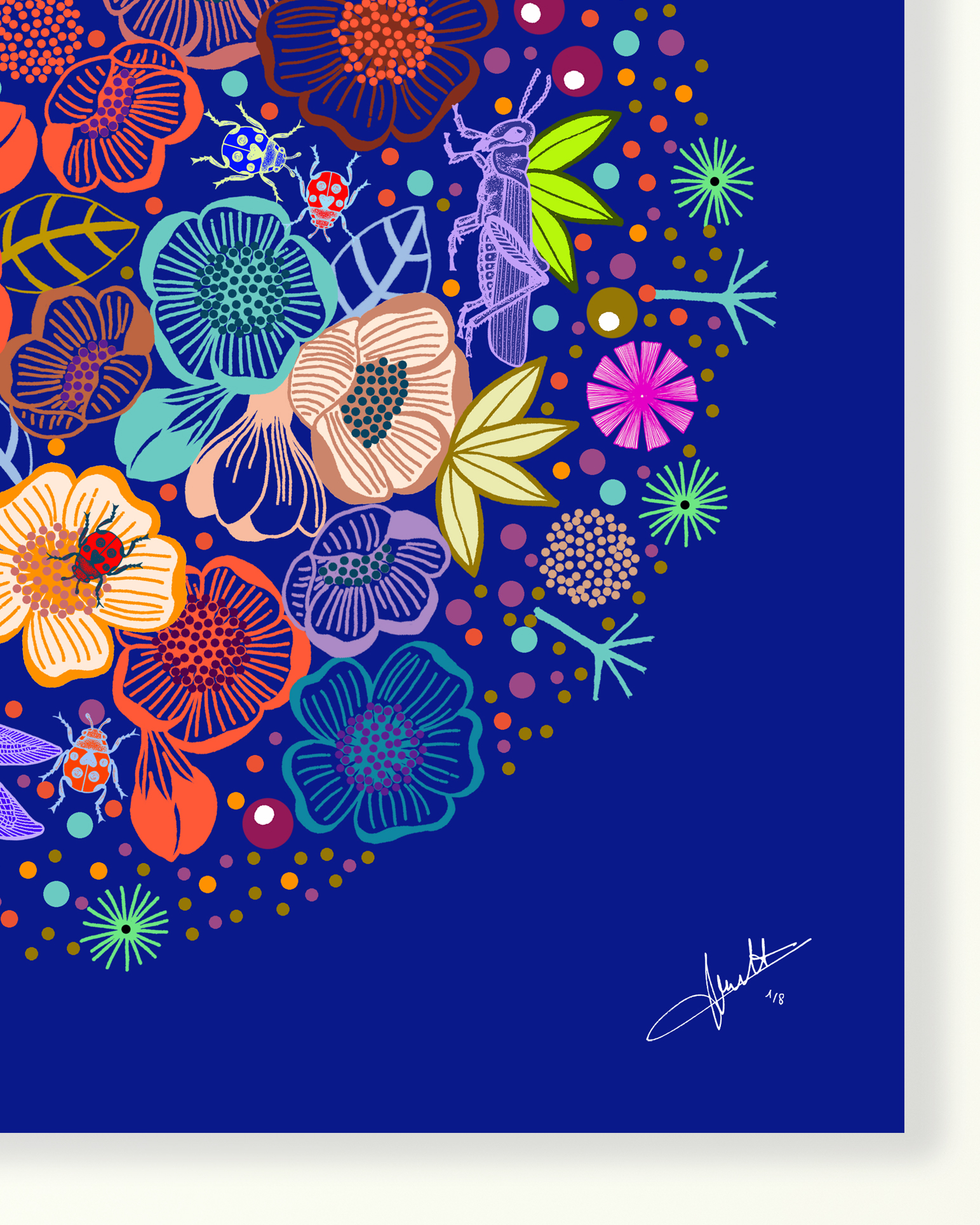 La terre vue du ciel - Michaël Cailloux - tirage d’art numéroté et signé – digigraphie