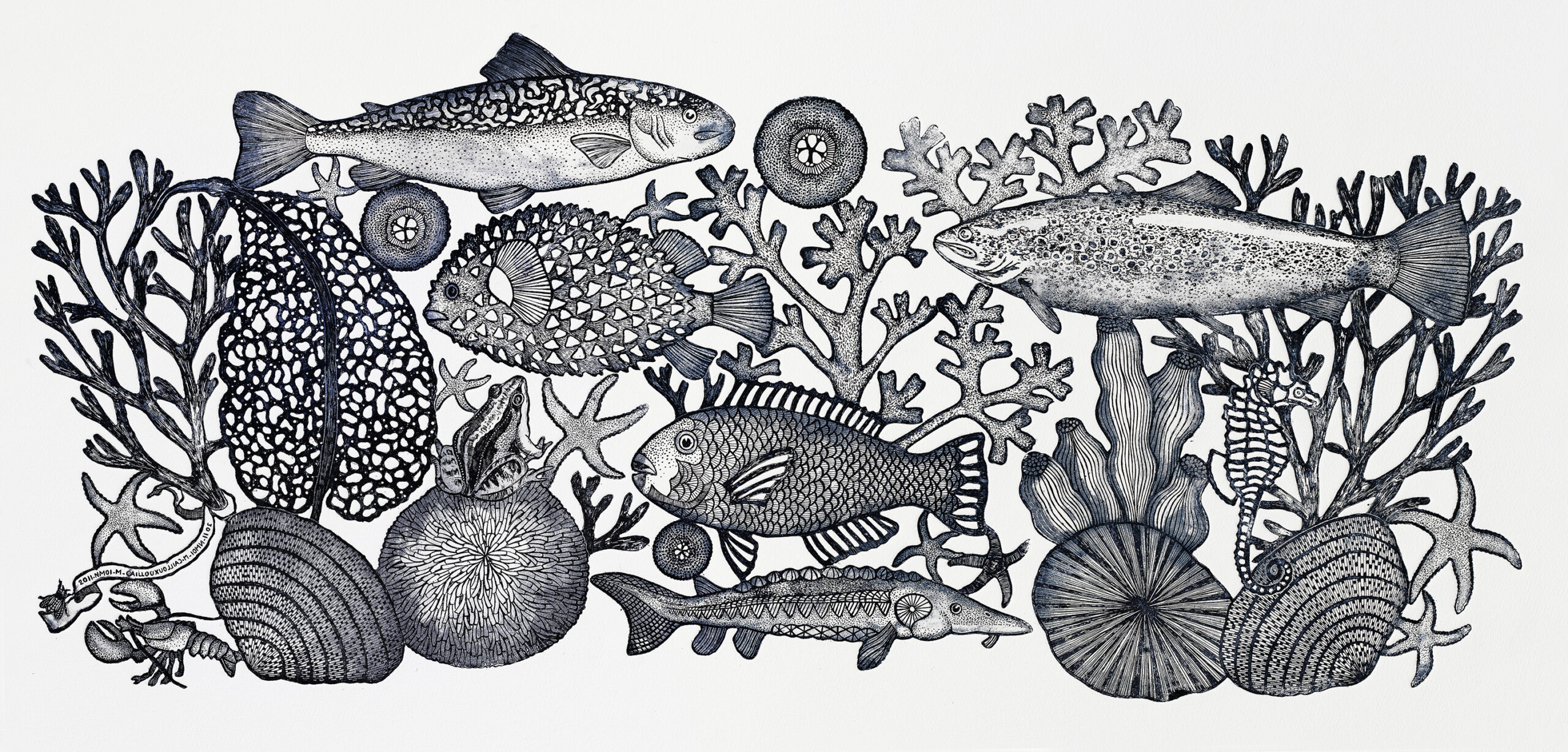 Art- gravure-aquarium-michael-cailloux-gris payne