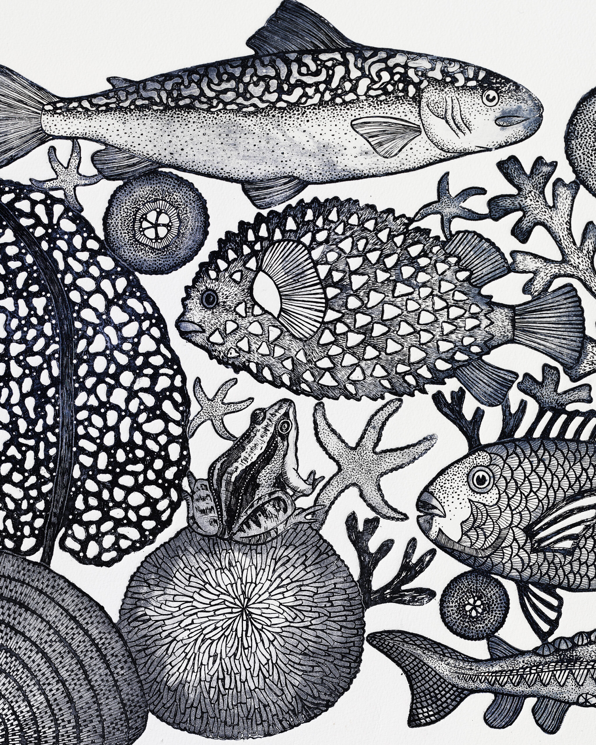 Art- gravure-aquarium-michael-cailloux-gris payne