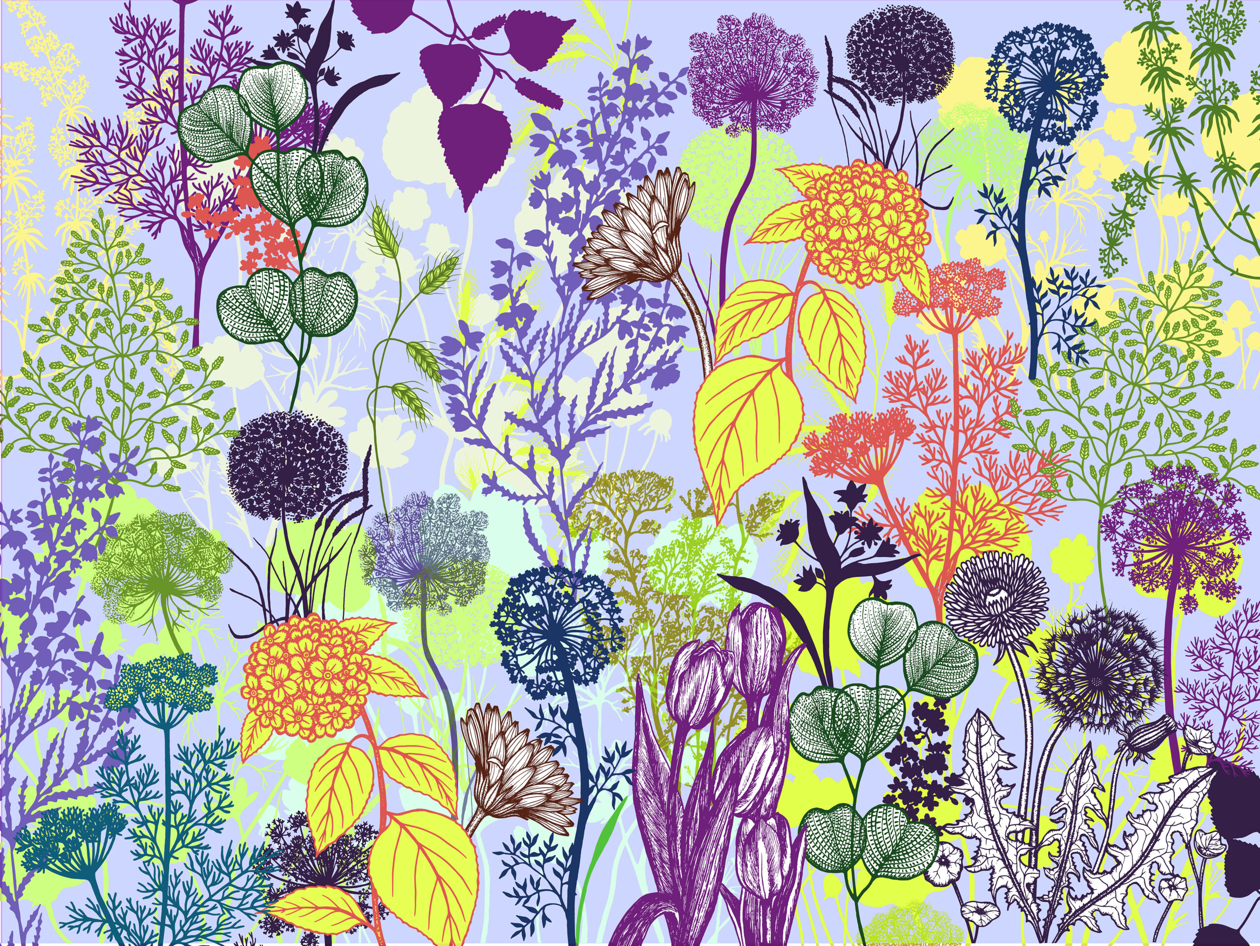 decor-panoramique-Corolles-Michael Cailloux-nacre