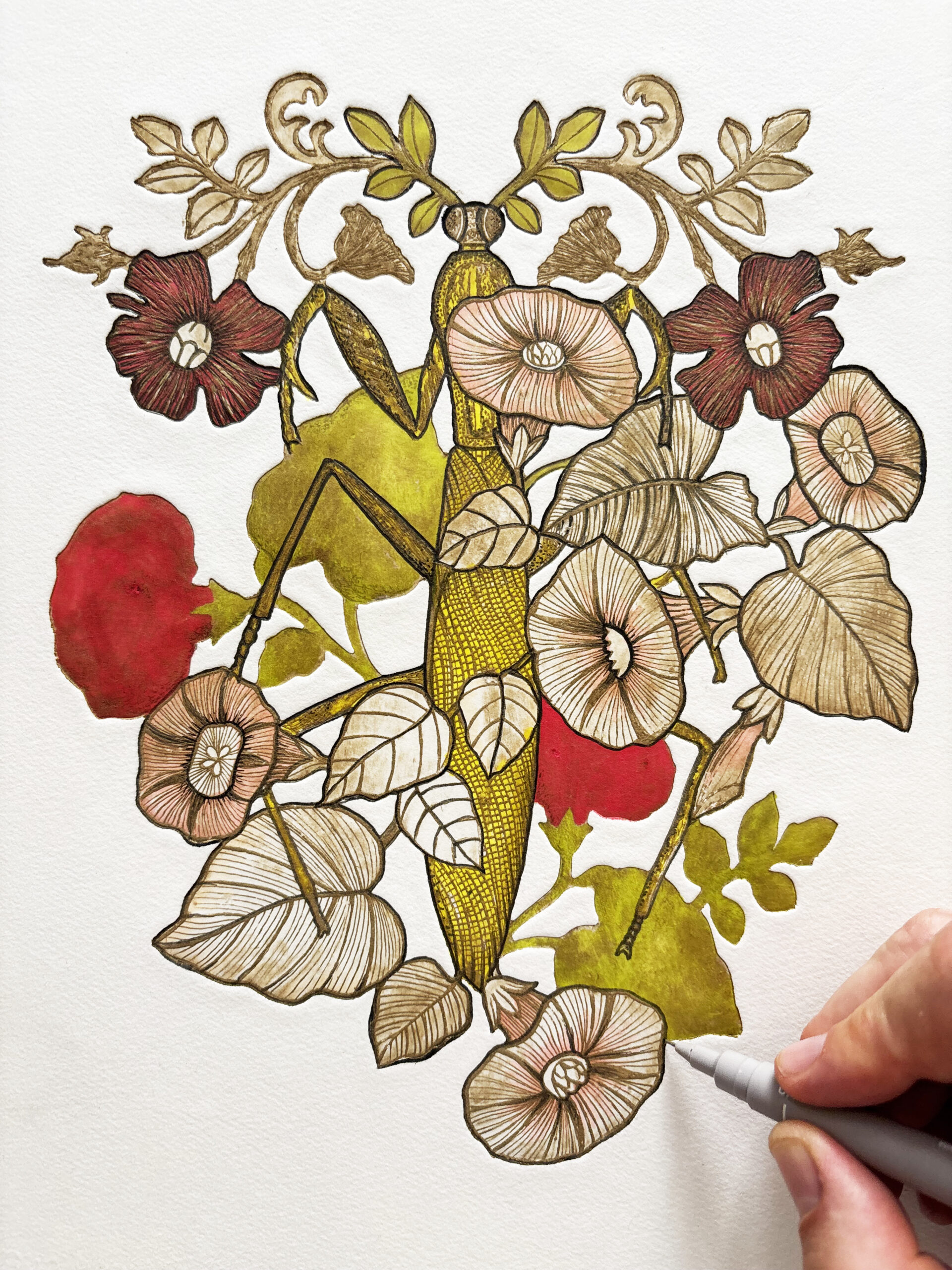 art - Renaissance - Mantis Religiosa - 2010 - Michael Cailloux -gravure et dessin - unique
